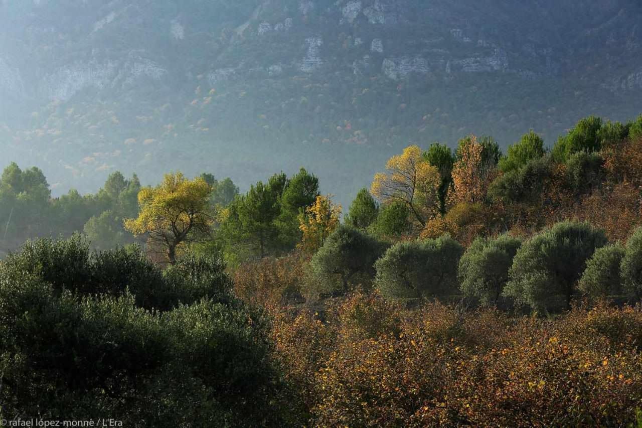 Lera Torre de Fontaubella